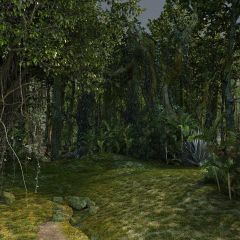 Tree Grass Stone Forest Photography Scenery Backdrop Forest Theme Banner BVU-043