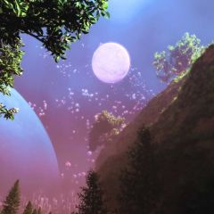 Moon Plant Photography Scenery Backdrop Night Theme Banner BVU-084