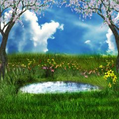 Grass Flower Tree Sky Photography Scenery Backdrop Nature Theme Banner BVU-088