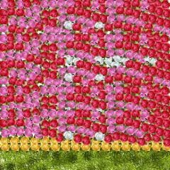 Flower Grasss Photography Scenery Backdrop Flowers Theme Banner BVU-090