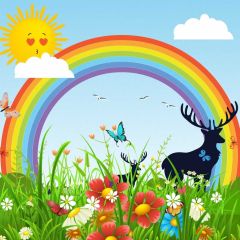 Sun Rainbow Flower Butterfly Photography Scenery Backdrop Cartoon Theme Banner BVU-093