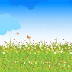 Grass Flower Cloud Butterfly Photography Scenery Backdrop Cartoon Theme Banner BVU-095