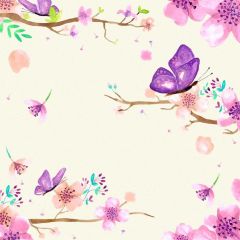 Flower Butterfly Photography Scenery Backdrop Flowers Theme Banner BVU-097