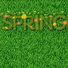 Grass Spring Photography Scenery Backdrop Cartoon Theme Banner BVU-099