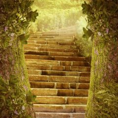 Tree Stair Photography Scenery Backdrop Nature Theme Banner BVU-126