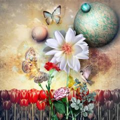 Flower Ball Butterfly Photography Scenery Backdrop Flowers Theme Banner BVU-127