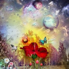 Flower Butterfly Ball Photography Scenery Backdrop Flowers Theme Banner BVU-128