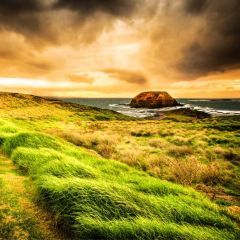 Cloud Grass Water Photography Scenery Backdrop Nature Theme Banner BVU-132