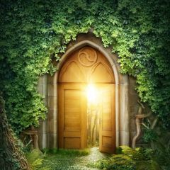 Grass Door Sunshine Photography Scenery Backdrop Door Theme Banner BVU-133