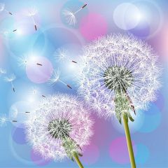 Flower Balloon Photography Scenery Backdrop Flowers Theme Banner BVU-137
