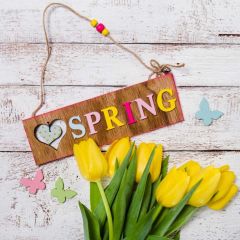 Flower Wall Board Photography Scenery Backdrop Flowers Theme Banner BVU-138