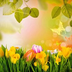 Flower Leaves Photography Scenery Backdrop Flowers Theme Banner BVU-140