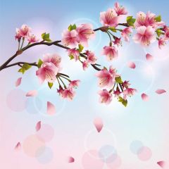 Flower Photography Scenery Backdrop Flowers Theme Banner BVU-143