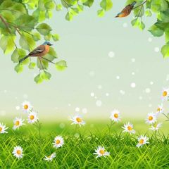 Grass Flower Bird Photography Scenery Backdrop Nature Theme Banner BVU-144