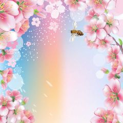 Flower Pink Photography Scenery Backdrop Flowers Theme Banner BVU-145