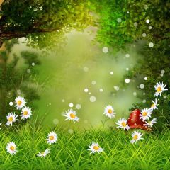 Flower Grass Tree Photography Scenery Backdrop Nature Theme Banner BVU-151