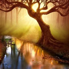 Tree River Sunshine Photography Scenery Backdrop Nature Theme Banner BVU-152