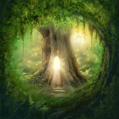 Tree Light Grass Photography Scenery Backdrop Nature Theme Banner BVU-153