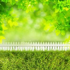 Grass Leaves Photography Scenery Backdrop Nature Theme Banner BVU-154