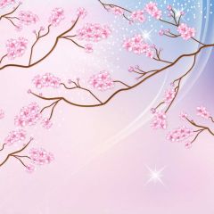 Flower Pink Photography Scenery Backdrop Flowers Theme Banner BVU-156