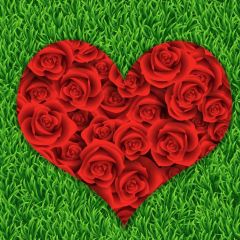 Flower Heart Grass Photography Scenery Backdrop Love Theme Banner BVU-159