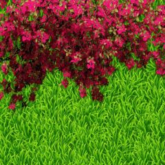 Flower Grass Photography Scenery Backdrop Nature Theme Banner BVU-161