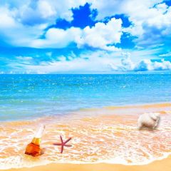 Sea Cloud Photography Scenery Backdrop Ocean Theme Banner BVU-197