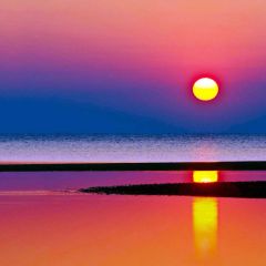 Sea Sun Purple Photography Scenery Backdrop Ocean Theme Banner BVU-198