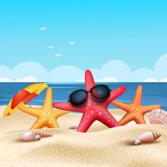 Sea Bird Sky Photography Scenery Backdrop Ocean Theme Banner BVU-199