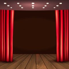 Curtain Floor Photography Scenery Backdrop Stage Carpet Theme Banner BVU-206