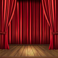 Curtain Floor Photography Scenery Backdrop Stage Carpet Theme Banner BVU-207