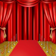 Curtain Pillar Carpet Photography Scenery Backdrop Stage Carpet Theme Banner BVU-209