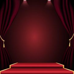 Curtain Carpet Photography Scenery Backdrop Stage Carpet Theme Banner BVU-212