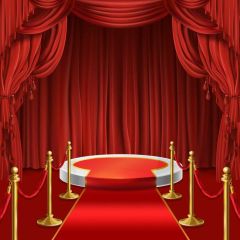 Curtain Pillar Circle Photography Scenery Backdrop Stage Carpet Theme Banner BVU-214