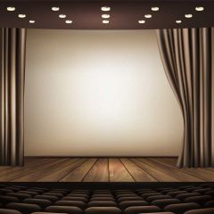 Curtain Floor Photography Scenery Backdrop Stage Carpet Theme Banner BVU-218