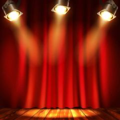 Light Curtain Floor Photography Scenery Backdrop Stage Carpet Theme Banner BVU-223