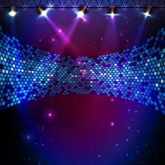 Light Spot Photography Scenery Backdrop Stage Carpet Theme Banner BVU-229