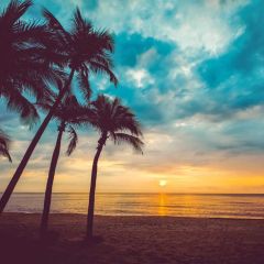 Tree Sea Sky Photography Scenery Backdrop Ocean Theme Banner BVU-246