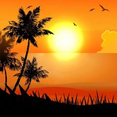 Tree Sun Bird Photography Scenery Backdrop Ocean Theme Banner BVU-250