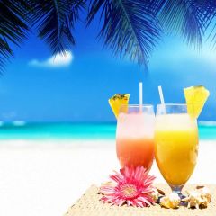 Drinks Sea Tree Photography Scenery Backdrop Ocean Theme Banner BVU-251