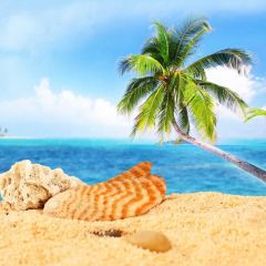 Sea Sand Tree Photography Scenery Backdrop Ocean Theme Banner BVU-252