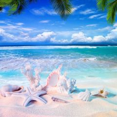 Sea Tree Sand Photography Scenery Backdrop Ocean Theme Banner BVU-253