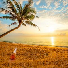 Sea Tree Cloud Photography Scenery Backdrop Ocean Theme Banner BVU-255