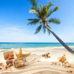 Sea Sand Glass Tree Photography Scenery Backdrop Ocean Theme Banner BVU-256