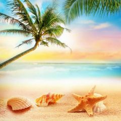 Sea Tree Shell Photography Scenery Backdrop Ocean Theme Banner BVU-257