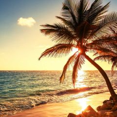 Sea Cloud Tree Photography Scenery Backdrop Ocean Theme Banner BVU-258