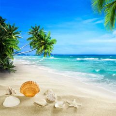 Sea Tree Shell Photography Scenery Backdrop Ocean Theme Banner BVU-259