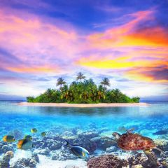 Tree Sea Fish Photography Scenery Backdrop Ocean Theme Banner BVU-262