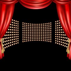 Curtain Shinning Spot Photography Scenery Backdrop Stage Carpet Theme Banner BVU-266