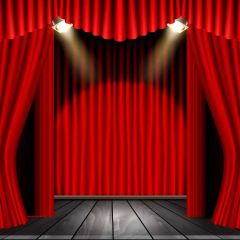 Curtain Light Floor Photography Scenery Backdrop Stage Carpet Theme Banner BVU-267